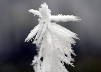 macro1_15