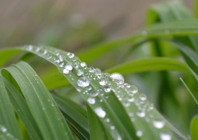 macro1_19