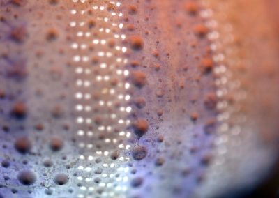 macro1_3