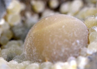 macro1_4
