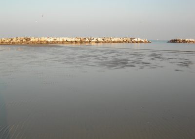 mare1_9