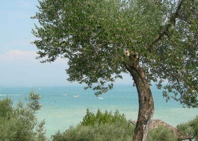 natura12
