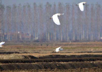 natura24