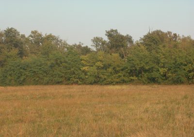 panorama04