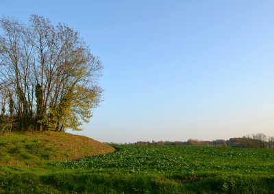 panorama05