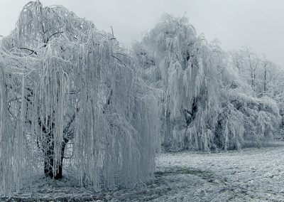 panorama10