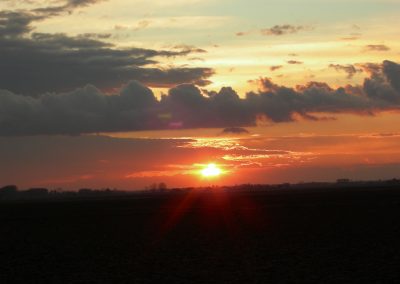 panorama19