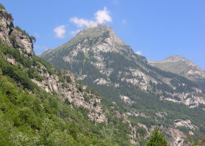 panorama21
