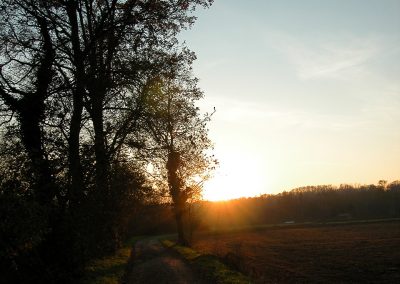 panorama23