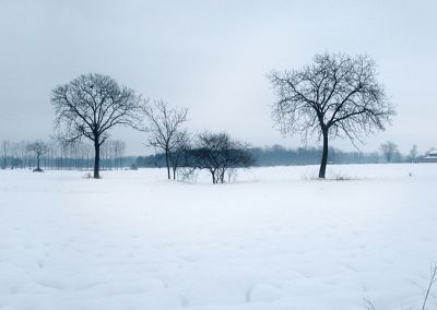 panorama29