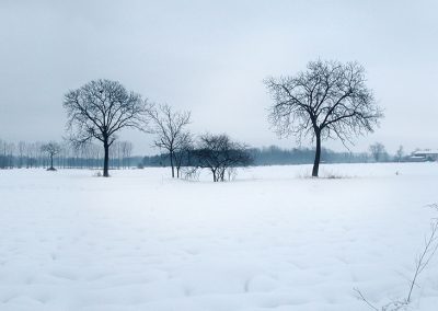 panorama41