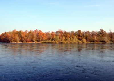 panorama44