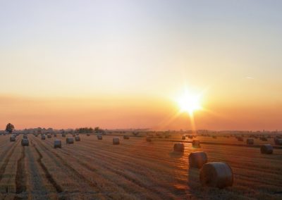 panorama45