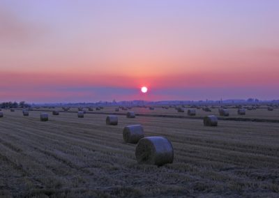 panorama46