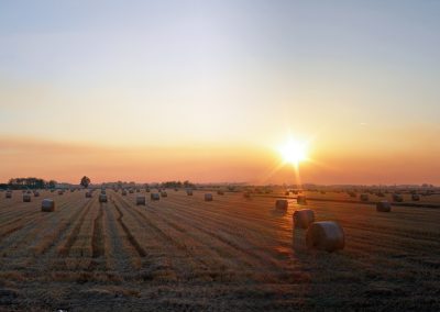 panorama48