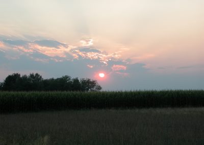 panorama50