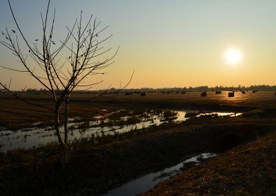 panorama51