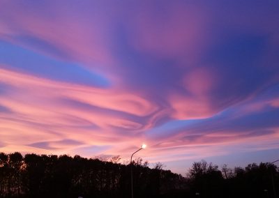 panorama54